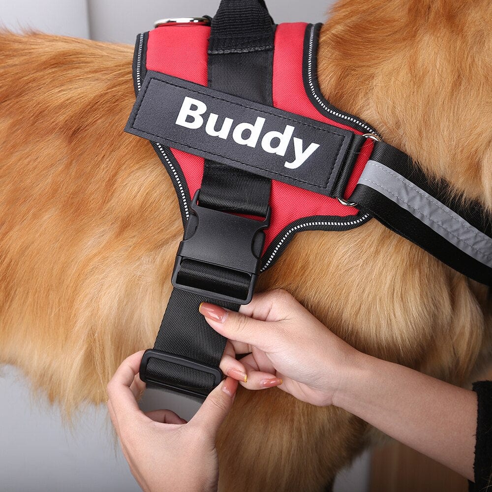 רתמת גוף לכלבים - Buddy™
