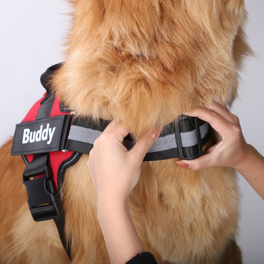 רתמת גוף לכלבים - Buddy™