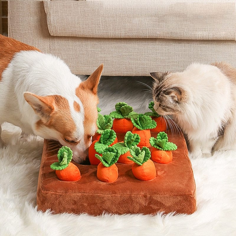 מזרן הגזר לכלבים - CarrotPuff™